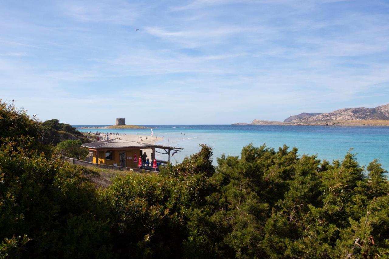 Вилла Panorama Sul Mare Стинтино Экстерьер фото